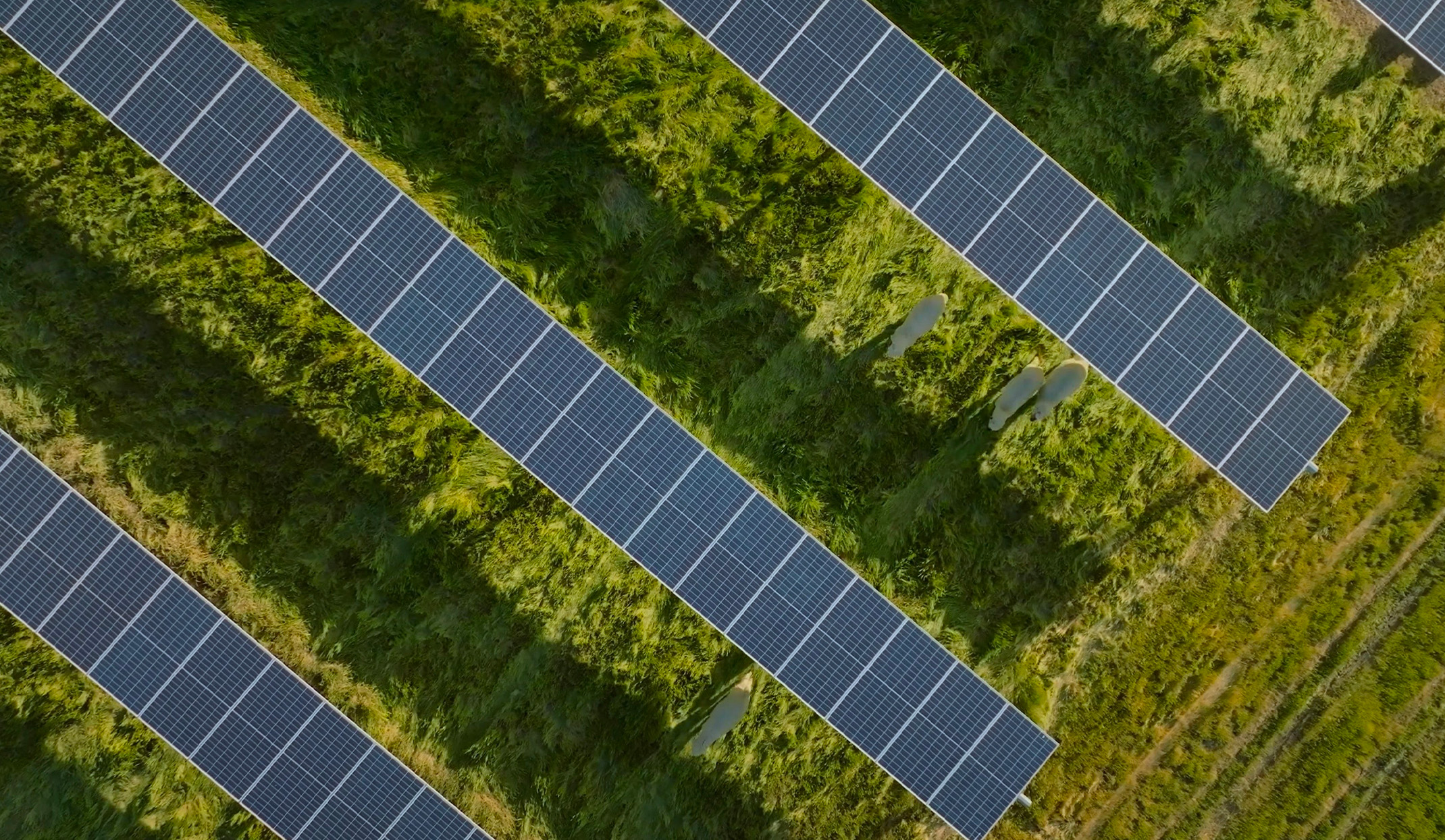 Panneaux solaires - Efficium